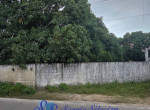 Imagem do WhatsApp de 2025-05-15 à(s) 16.53.28_529edee3